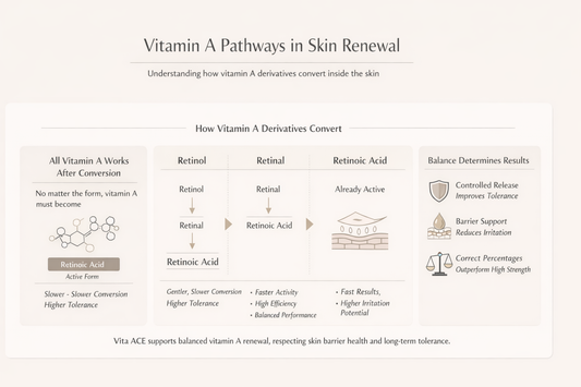 Vitamin A & Retinoids in Skincare — How They Work, Safe Concentrations & Who Should Use Them | PERSONTAGE