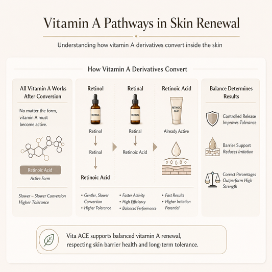 "Vitamin A skincare infographic explaining the conversion of retinol and retinal to retinoic acid for skin renewal, anti-ageing, and improved skin texture."