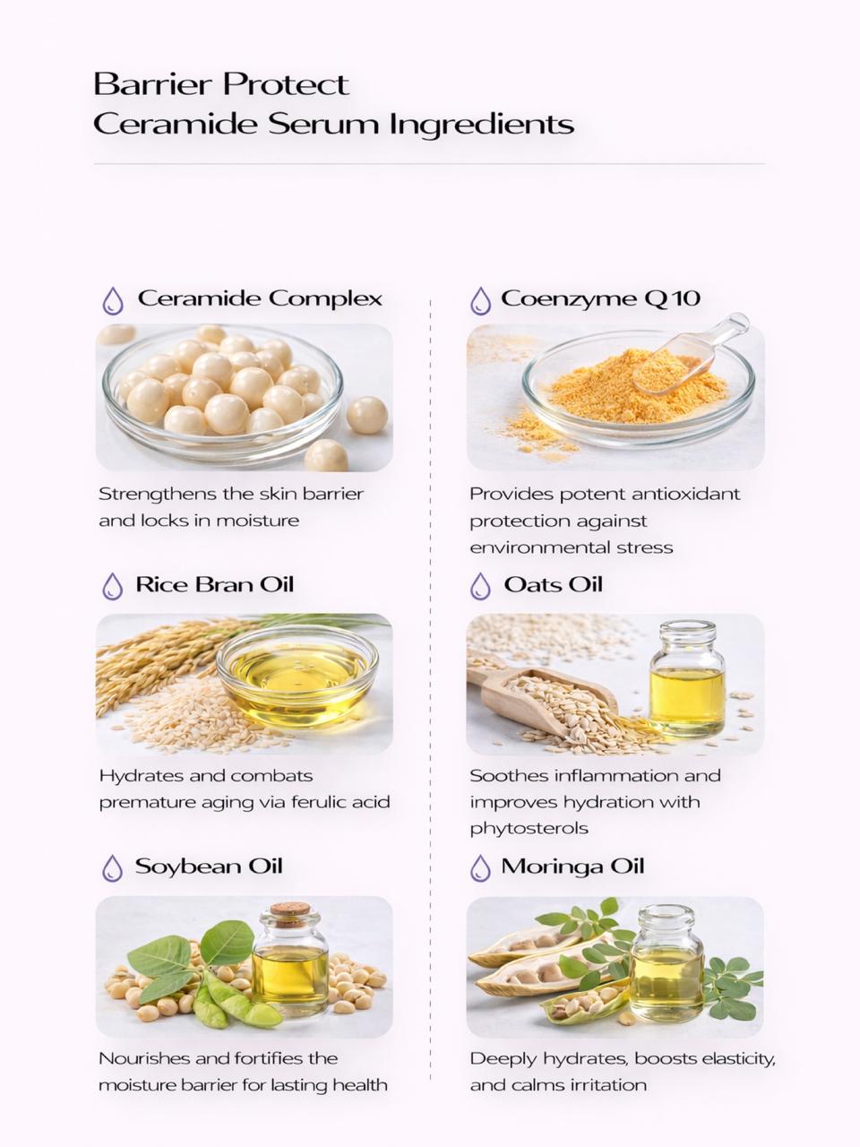 Illustration of Persontage Barrier Protect Ceramide Serum Ingredients with images and descriptions.