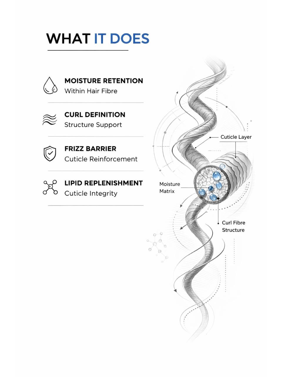 CURL CARE & NOURISHMENT Ritual kit -What it does.Diagram of hair fiber structure with labeled functions on a white background